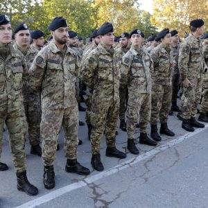 Mini naja: cos’è e come funziona il nuovo servizio militare