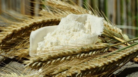 Pasta e pane: i grani antichi conquistano le Crete senesi