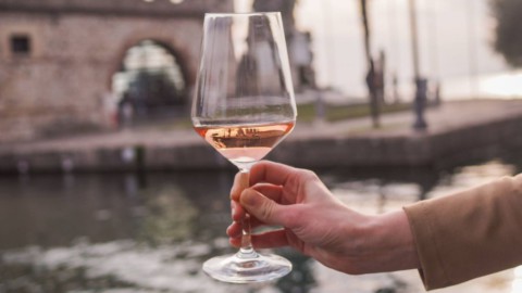 पिंक वाइन: रोसोटोक्टोनो के साथ इटली का लक्ष्य नए बाजार शेयरों में है