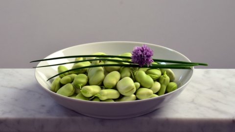 Sur First&Food, la recette de Bracali et les propriétés controversées des fèves