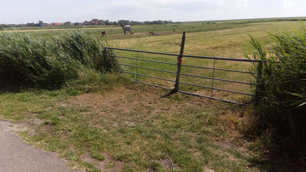 Prateria di Terschelling