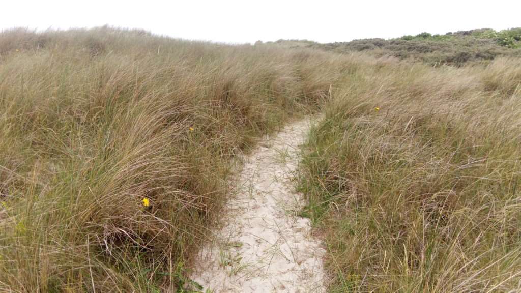 Trilha de Terschelling