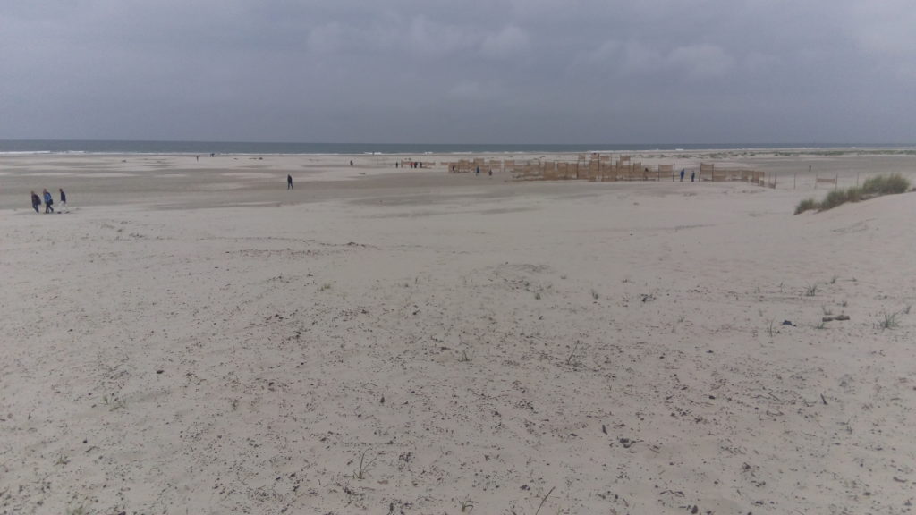 Plage de Terschelling 4