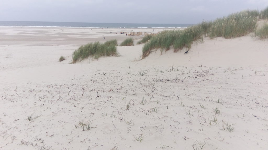 Praia de Terschelling 2