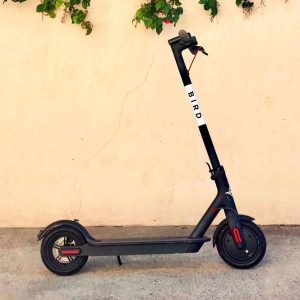 Scooters, Enel et Bird de plus en plus de partenaires