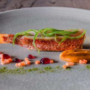 Das Rezept von Antonello Sardi: Rotbarbe, Karottencreme, Marinadengel