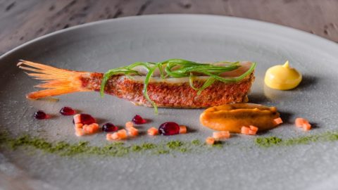 A receita de Antonello Sardi: Salmonete, creme de cenoura, gel de marinada