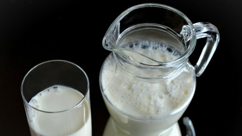 Milk: Zu viele Fake News, es ist Zeit, sie neu zu bewerten