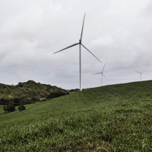 Enel avvia la costruzione di un nuovo parco eolico in Sudafrica