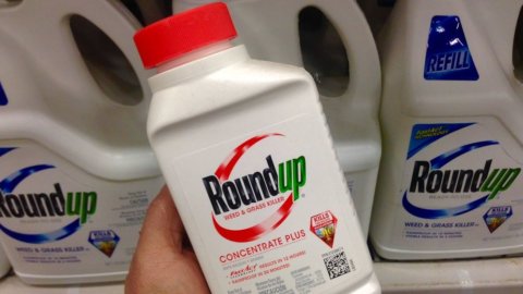 Glifosato e cancro: Bayer condannata a maxi risarcimento