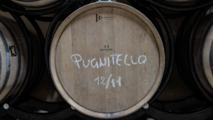 Vino Pugnitello