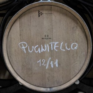 从电影到葡萄酒：瑞士人发现 Pugnitello Toscano