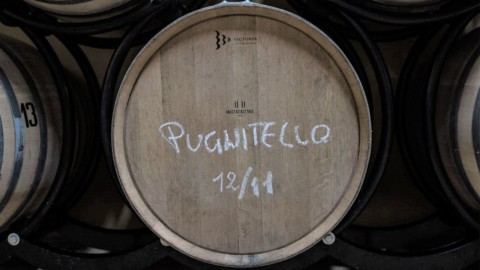 Do cinema ao vinho: os suíços descobrem Pugnitello Toscano