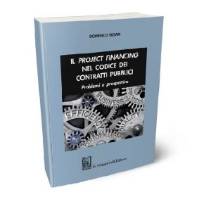 Siclari: "Financiamento de projetos no código dos contratos públicos"