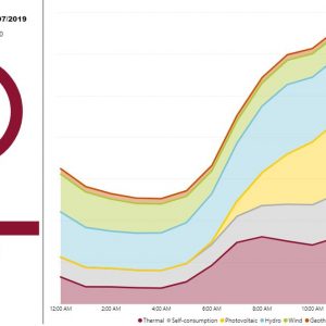 Energie: Verbrauch und Produktion in Echtzeit auf der Website von Terna