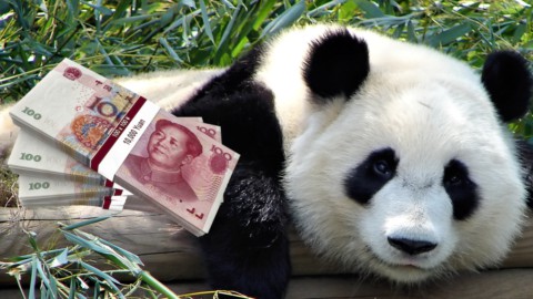 Panda bond in arrivo: ecco cosa sono e come funzionano