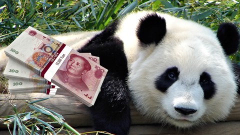 Cdp: todo listo para los bonos Panda