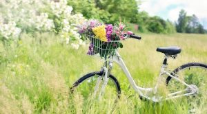 Bicicletta e fiori
