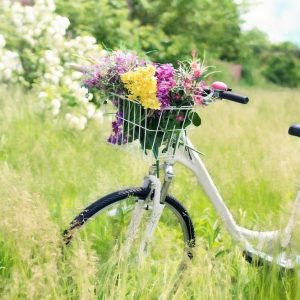 Bici e turismo: l’Italia è bike friendly e il Trentino batte tutti