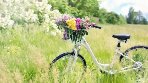 Bici e turismo: l’Italia è bike friendly e il Trentino batte tutti