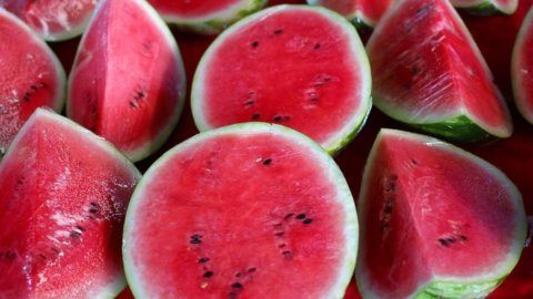 Wassermelone: ​​nicht nur im Sommer, sondern ganzjährig