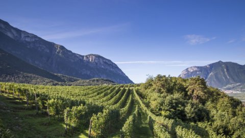 First&Food between recipes and the history of the Ferrari of Trento