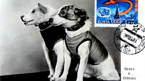 SUCEDIÓ HOY – Hace XNUMX años los primeros perros en el espacio