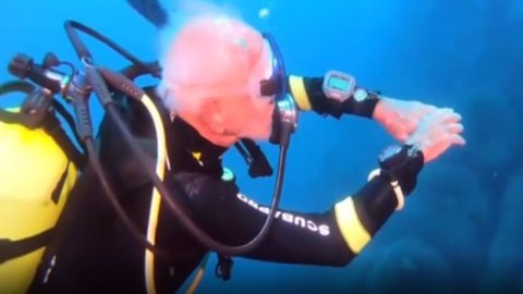 Immersioni, ha 96 anni il sub  più vecchio del mondo
