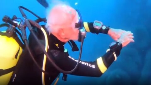 Diving, the oldest diver in the world is 96 years old