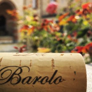 Barolo 2015 e Barbaresco 2016: annate eccezionali