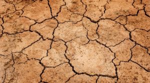 Ambiente agricoltura e siccità