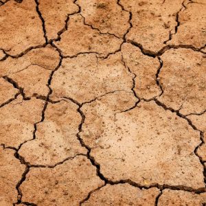 Clima și agricultura: urmează măsuri împotriva secetei
