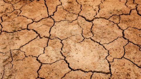 气候与农业：抗旱措施即将出台