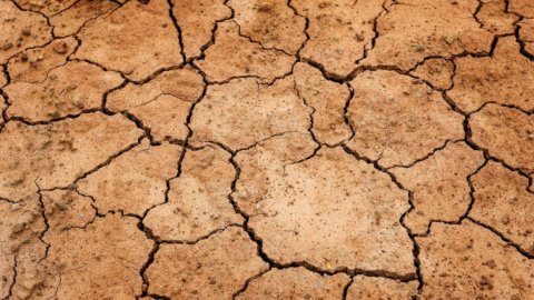 Clima e agricoltura: in arrivo misure sulla siccità