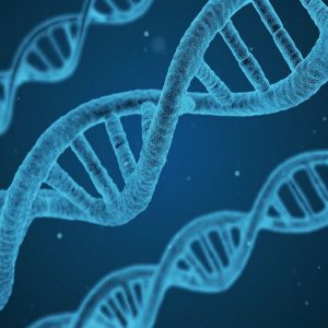 Malattie genetiche: chi ha diritto di sapere?