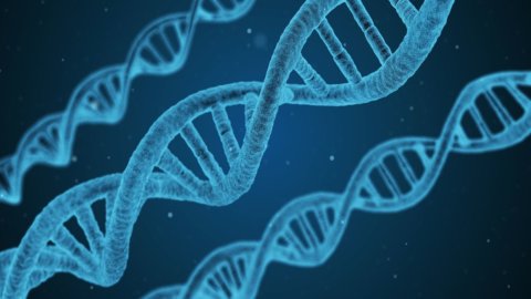 Malattie genetiche: chi ha diritto di sapere?