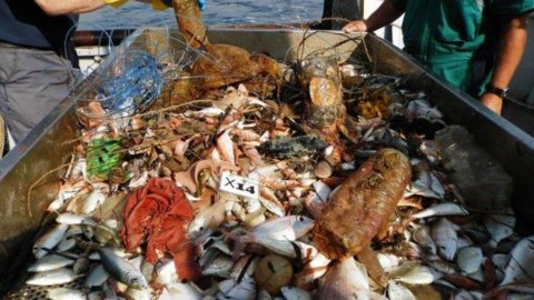 Resíduos, no fundo do mar mais plástico do que peixe