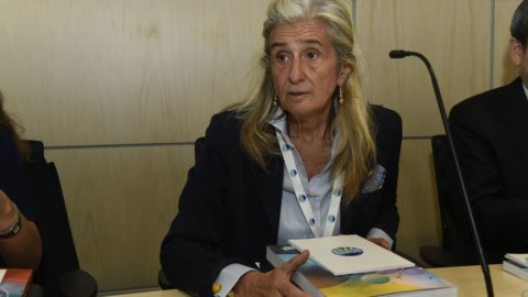 Ex Ilva: Lucia Morselli, ex directora ejecutiva de Adi, bajo investigación. Aquí están las acusaciones.