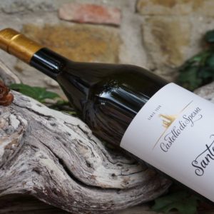 Pinot Bianco Santarosa, il pluripremiato dal nuovo stile