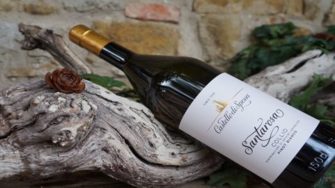 Pinot Bianco Santarosa, o premiado com um novo estilo