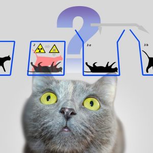 L'ordinateur quantique de Google et le paradoxe du chat de Schrödinger