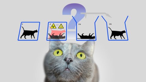 L'ordinateur quantique de Google et le paradoxe du chat de Schrödinger