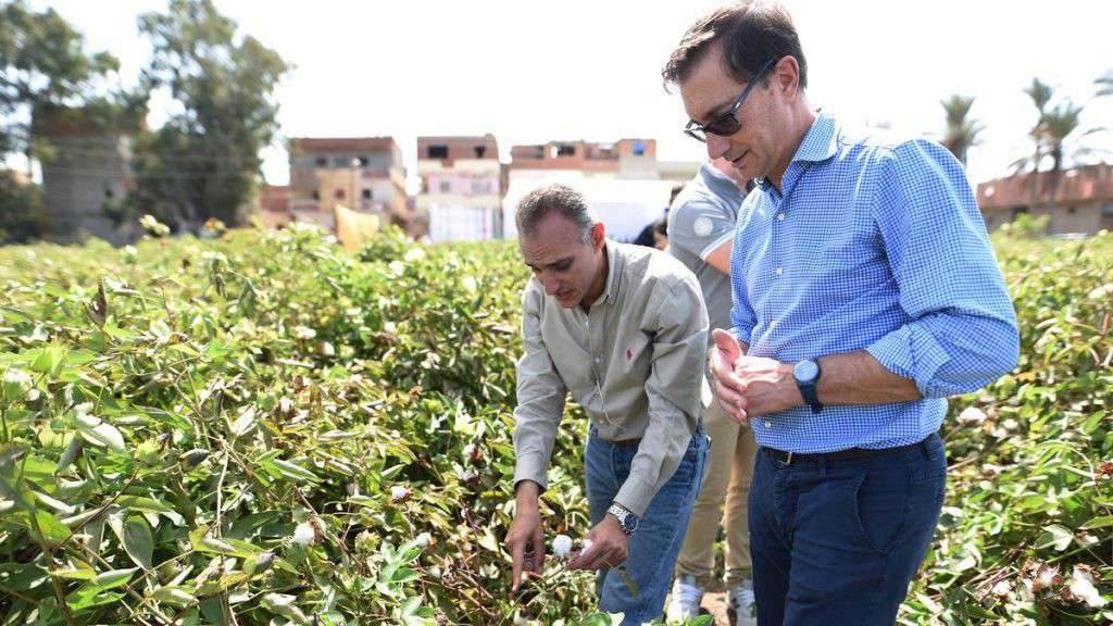 Stefano Albini besucht Baumwollplantage