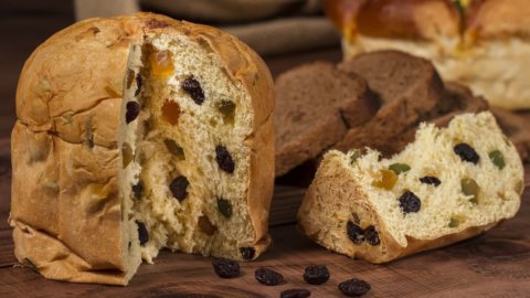 Panettone, here's how to make it in Bertolini's recipe