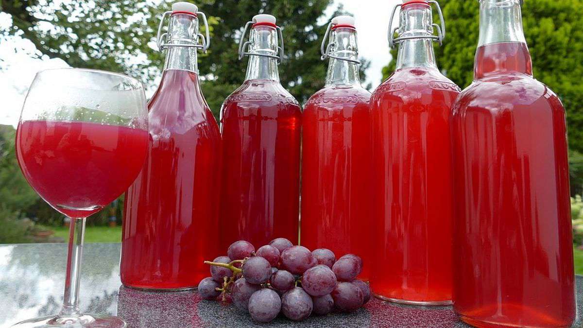 Not just wine, a boost of energy from squeezed grapes