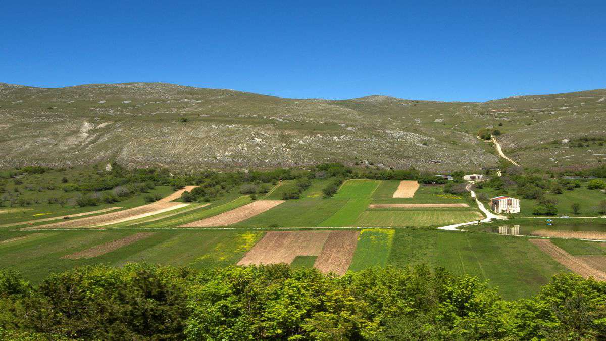 Cultivo de lentilhas de Santo Stefano del Sassanio