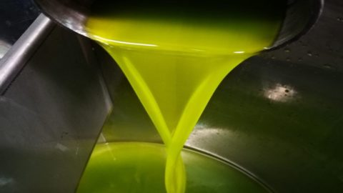 Olio Extravergine, molto più di una spremuta di olive