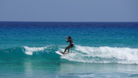 Sörf, Cinque Terre California ve Hawaii'den daha iyi: Levanto'daki dünya şampiyonası