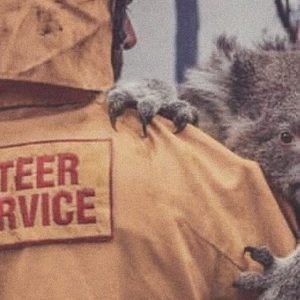 Incendi Australia: morto 1 miliardo di animali, 183 gli arresti