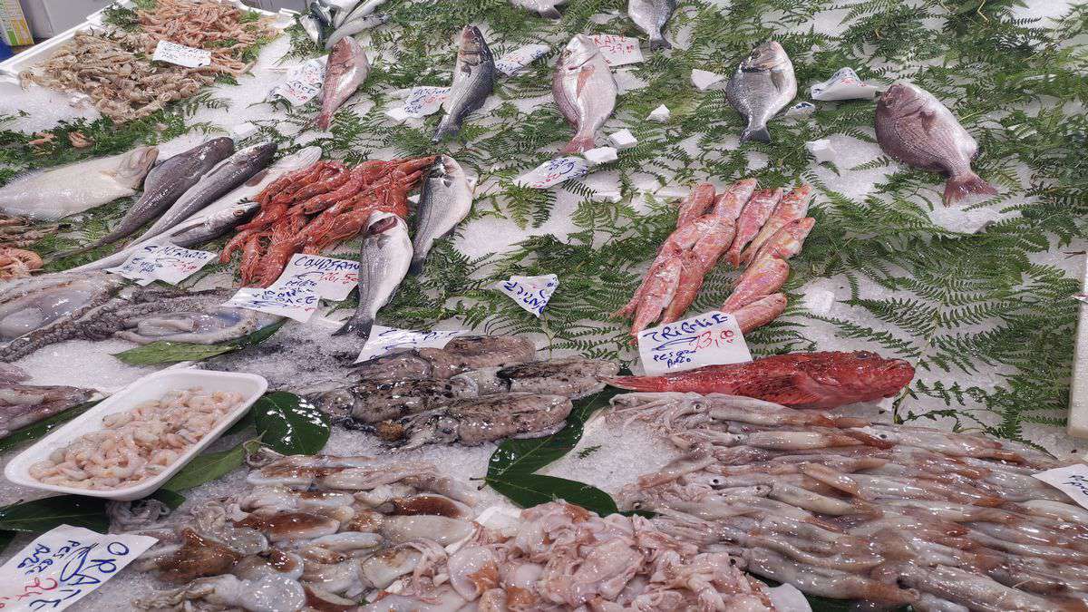 fish at the market